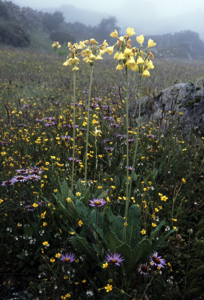 d0091834_17262425.jpg