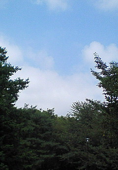 f0161834_1054554.jpg