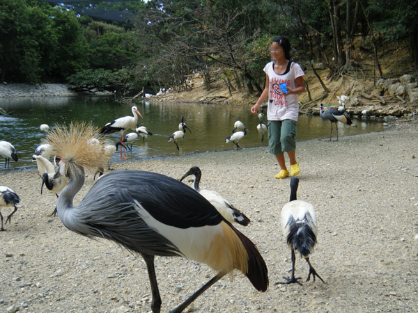 f0175934_2223977.jpg