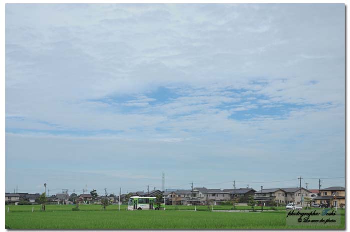 d0016340_20484756.jpg
