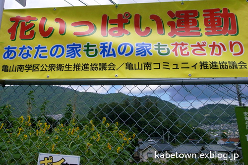 e0155240_1201378.jpg