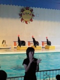 c0042941_040487.jpg