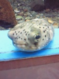 c0042941_041228.jpg