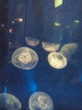 c0042941_0432894.jpg