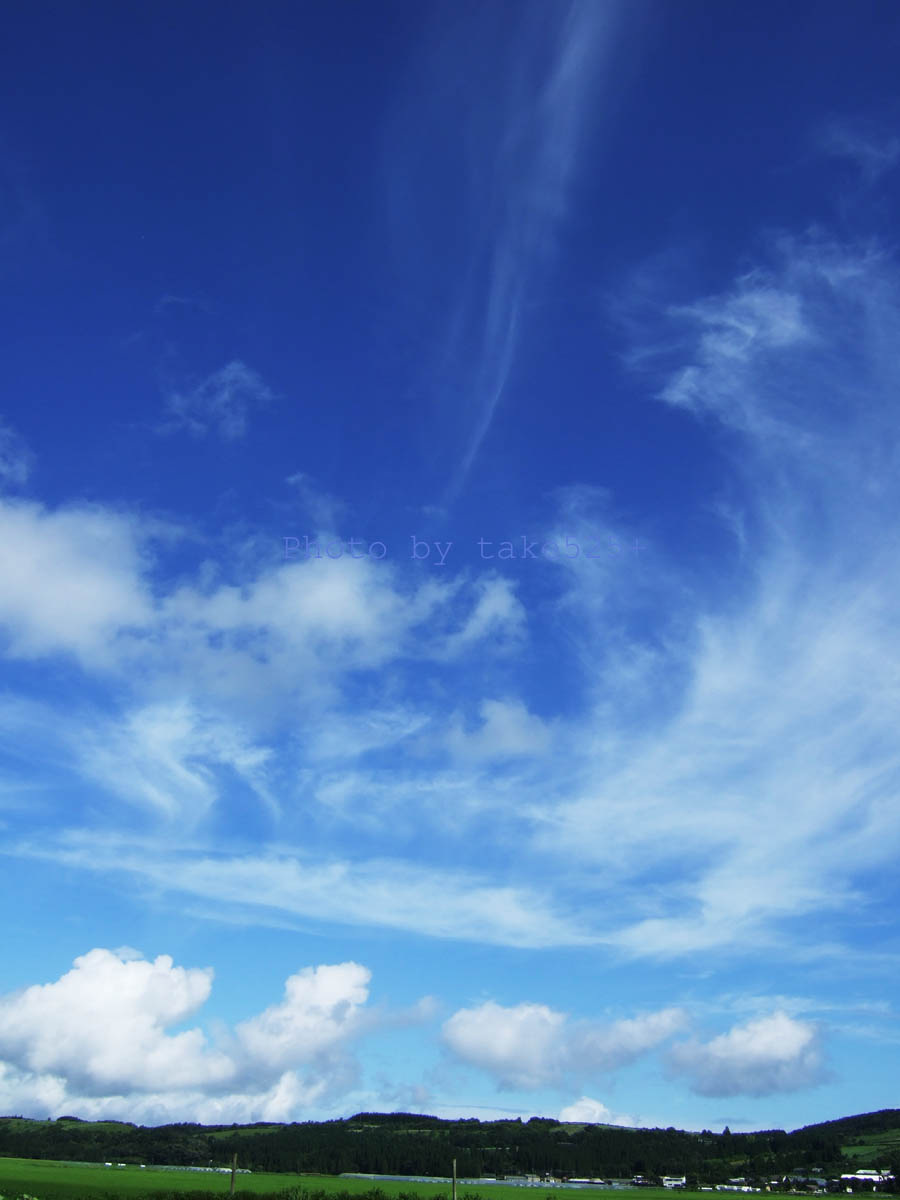 a0116946_6104281.jpg