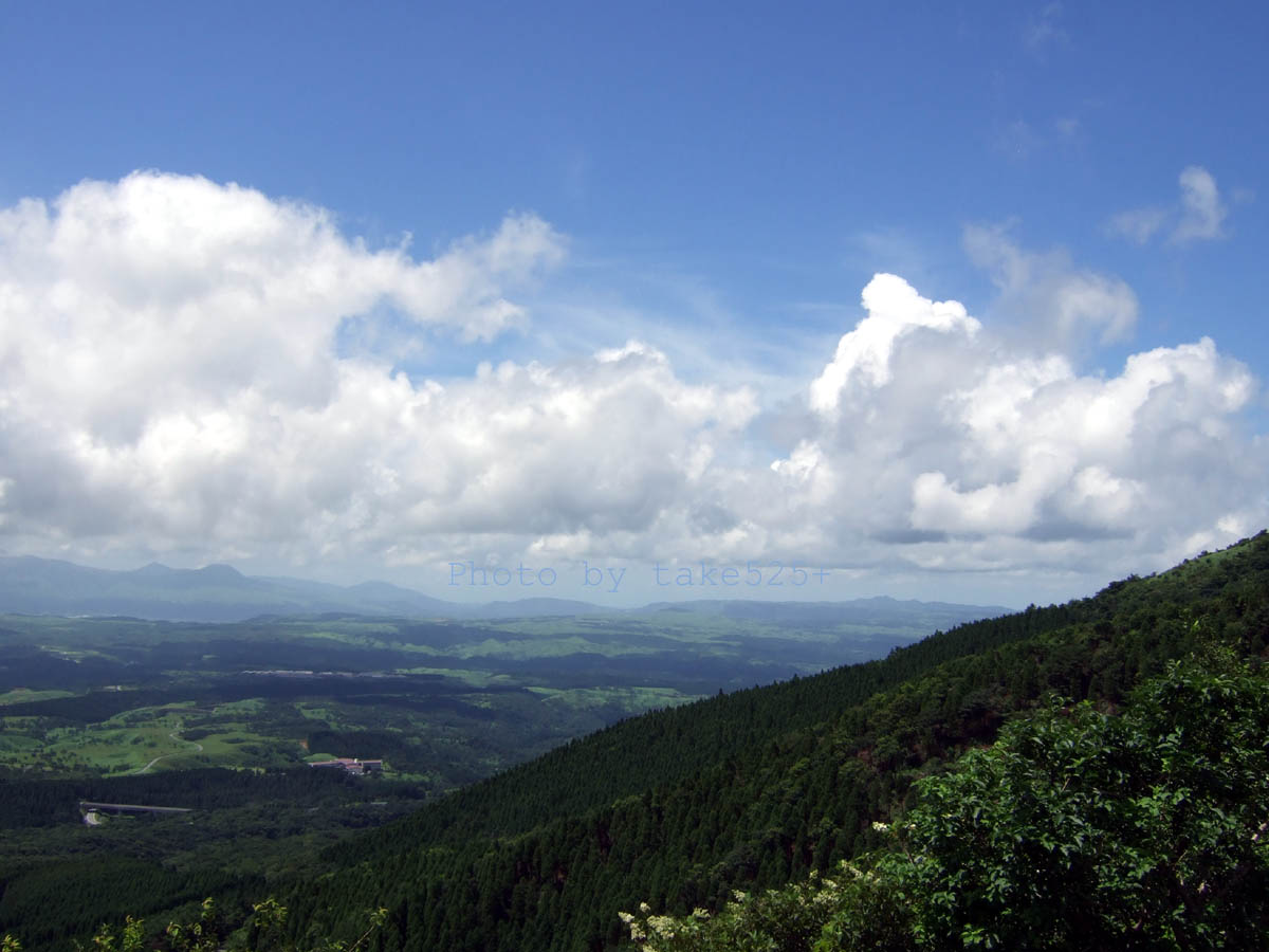 a0116946_6114870.jpg