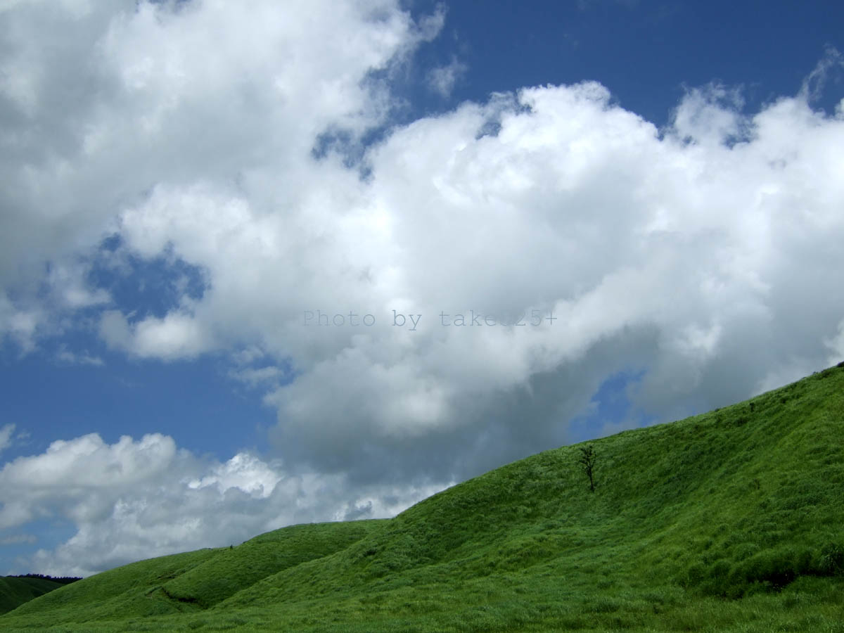 a0116946_6121090.jpg