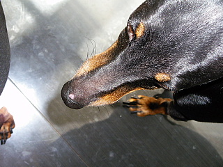 c0123149_23463913.jpg