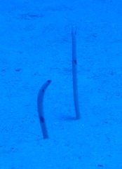 e0065350_23365412.jpg