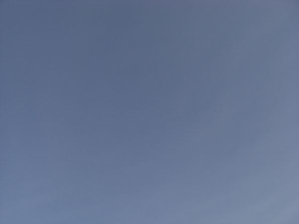 e0017051_2129489.jpg