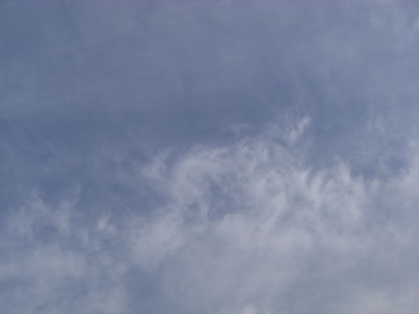 e0017051_21301394.jpg