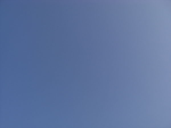 e0017051_2130156.jpg
