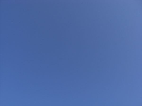 e0017051_21302548.jpg