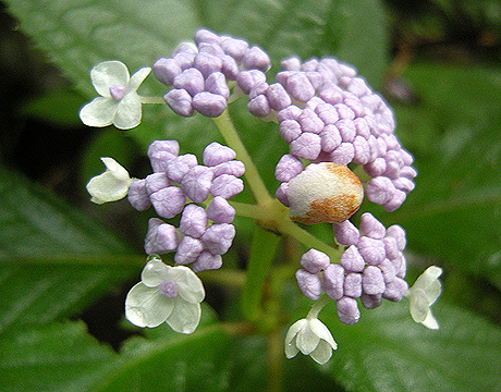 a0001354_2149042.jpg