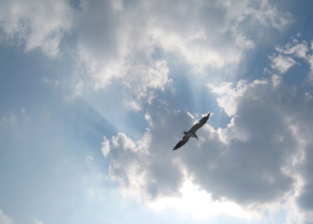 b0173754_1221323.jpg