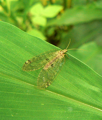 d0091754_18583543.jpg