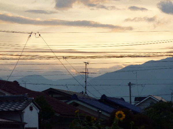 f0160554_2026248.jpg