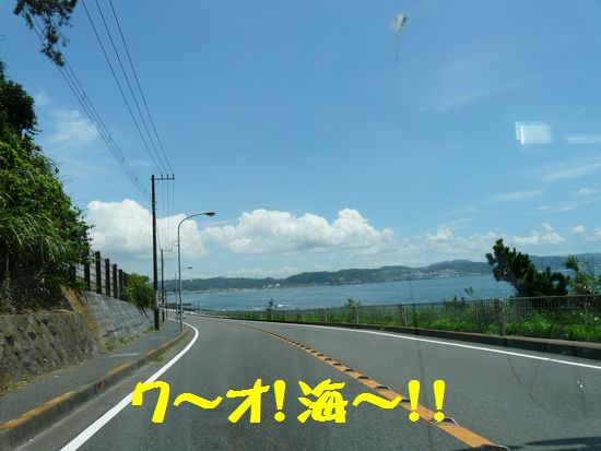 a0100564_19341420.jpg