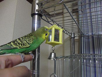 f0196665_0231911.jpg