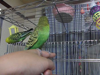 f0196665_034041.jpg