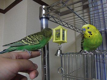 f0196665_0441126.jpg