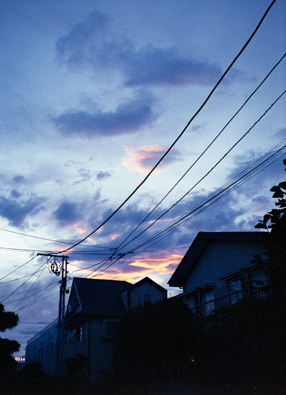 c0084666_119119.jpg