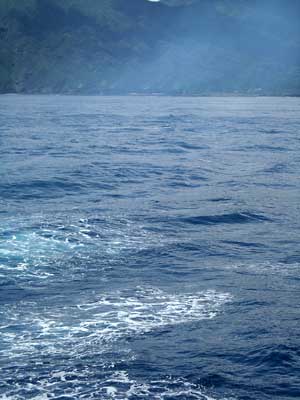 e0097770_1471920.jpg
