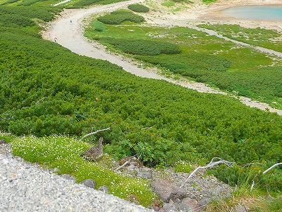 f0182173_13553947.jpg