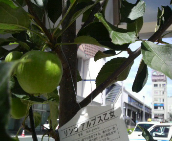 b0129280_1902176.jpg