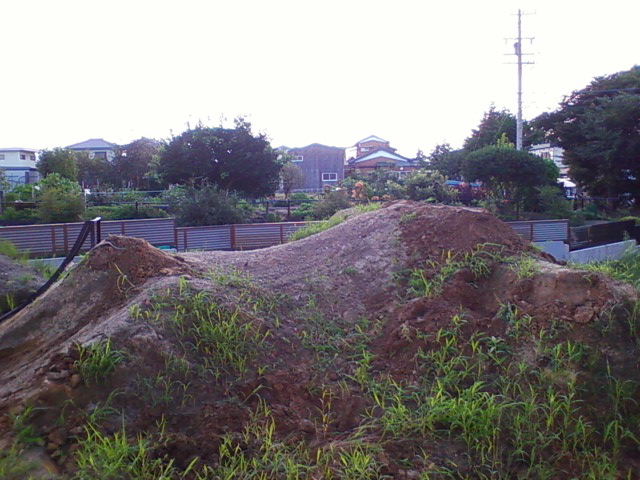 e0055880_35893.jpg