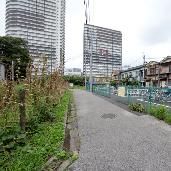 d0089281_0124157.jpg