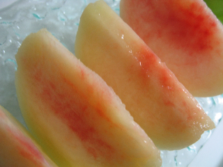 e0132881_1921816.jpg