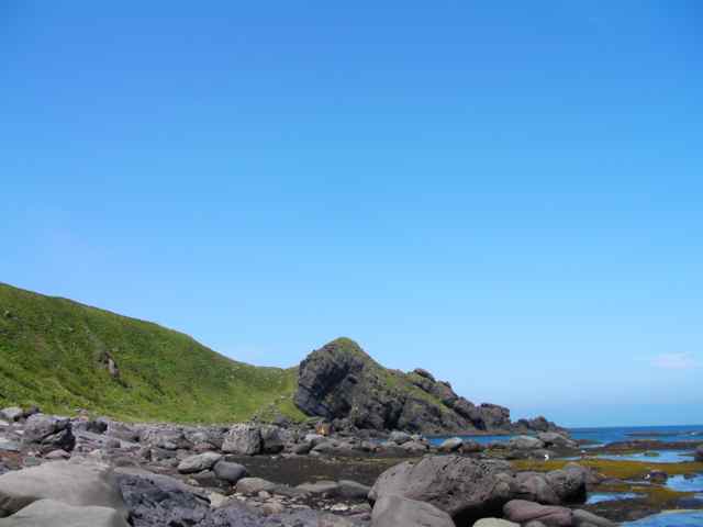 f0024281_995199.jpg