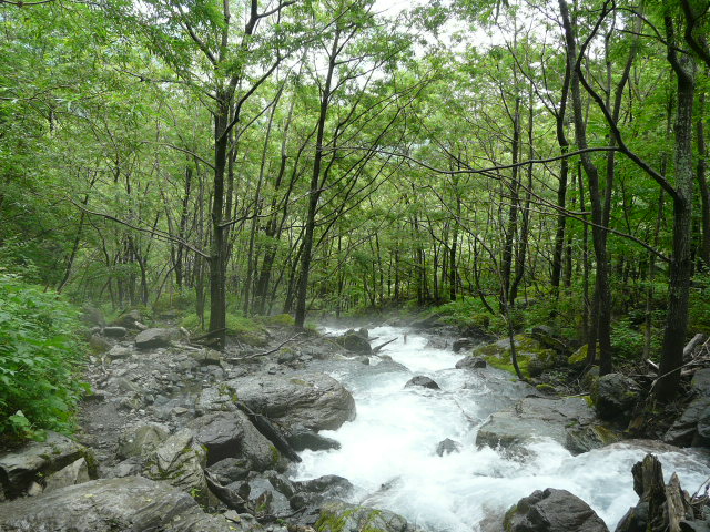 e0145782_16315962.jpg