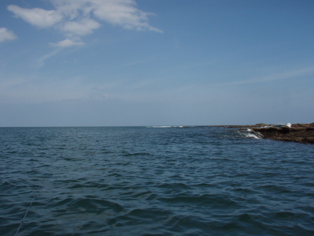 e0125483_226920.jpg