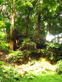 c0002089_2232419.jpg