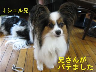 e0121589_23584571.jpg