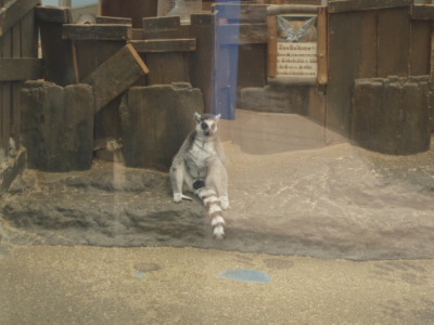 c0086895_22544179.jpg