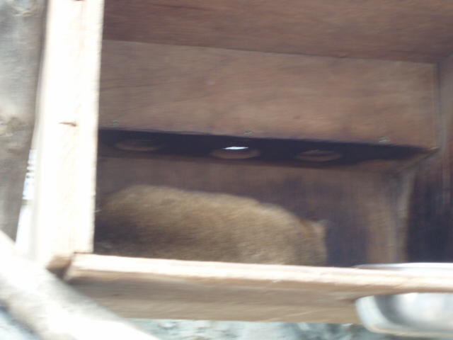 c0086895_2392612.jpg