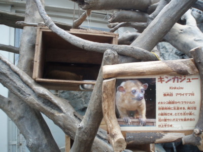 c0086895_2394762.jpg