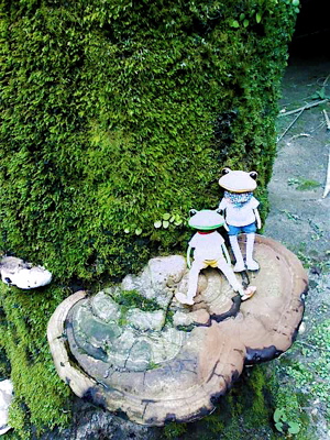 c0199295_304626.jpg