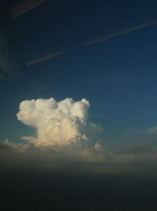 e0077899_841364.jpg