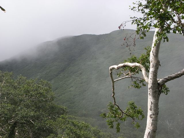 f0157901_21103614.jpg