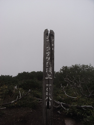 f0157901_21111876.jpg