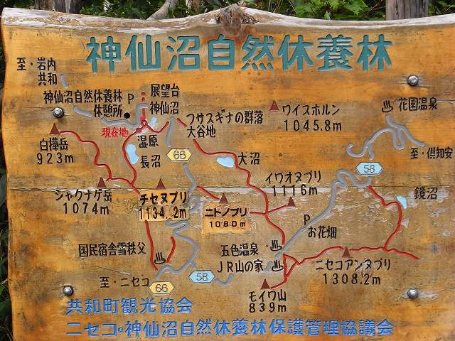 f0157901_2183681.jpg