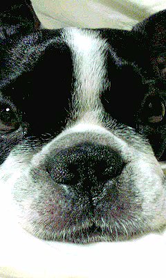 d0070702_23364328.jpg