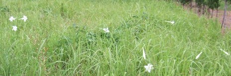 c0157103_0201051.jpg