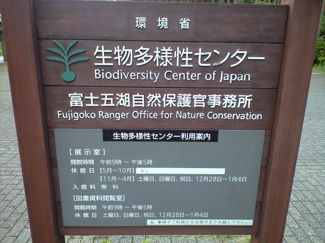 b0076307_1193664.jpg