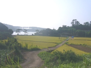 c0092408_1848557.jpg