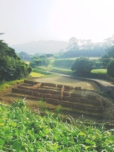 c0092408_18485837.jpg
